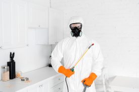 exterminator in protective mask and uniform holding toxic equipment near kitchen cabinet